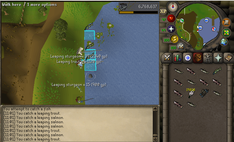 osrs fishing guide