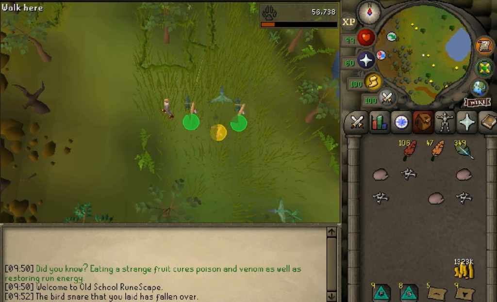 osrs hunter guide
